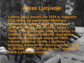 Antrojo pasaulinio karo priežastys, eiga, pasekmės bei karas Lietuvoje 14 puslapis