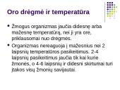 Aplinkos faktorių įtaka žmogaus sveikatai 11 puslapis