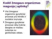 Aplinkos faktorių įtaka žmogaus sveikatai 3 puslapis