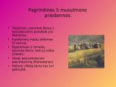 Arabų ir Islamo sankirtos 13 puslapis