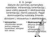 Asmenybės skirtumai 8 puslapis