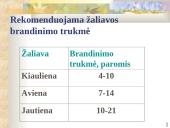 Audinių pokyčiai 11 puslapis