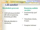 Audinių pokyčiai 12 puslapis