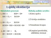Audinių pokyčiai 13 puslapis