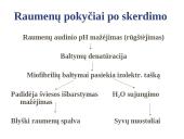 Audinių pokyčiai 3 puslapis