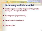 Audinių pokyčiai 6 puslapis