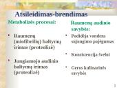 Audinių pokyčiai 9 puslapis