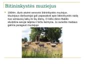 Aukštaitijos nacionalinis parkas ir jo grožiai 13 puslapis