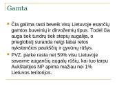 Aukštaitijos nacionalinis parkas ir jo grožiai 5 puslapis