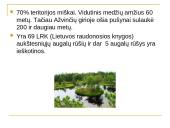 Aukštaitijos nacionalinis parkas ir jo grožiai 6 puslapis