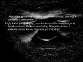 Australijos istorija ir geografija 14 puslapis