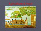 Aztecs Culture 13 puslapis