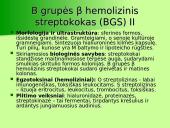 B grupės β hemolizinis streptokokas (S.agalactiacae): etiologija, komplikacijos, rizikos grupės, diagnostika, profilaktika 4 puslapis