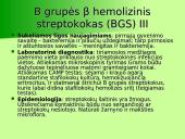 B grupės β hemolizinis streptokokas (S.agalactiacae): etiologija, komplikacijos, rizikos grupės, diagnostika, profilaktika 5 puslapis