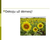 Geografija, politinė sistema, įdomūs faktai apie Baltijos šalis 16 puslapis