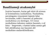 Baudžiamoji atsakomybė už baudžiamuosius nusižengimus ir nusikaltimus finansų srityje 2 puslapis