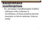 Baudžiamoji atsakomybė už baudžiamuosius nusižengimus ir nusikaltimus finansų srityje 6 puslapis