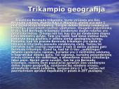 Bermudų trikampis 3 puslapis