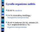 Cheminė mėsos sudėtis 2 puslapis
