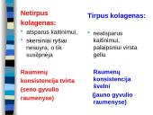 Cheminė mėsos sudėtis 14 puslapis