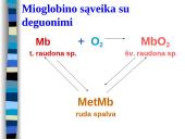 Cheminė mėsos sudėtis 17 puslapis