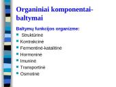 Cheminė mėsos sudėtis 3 puslapis
