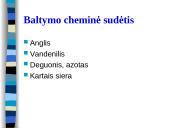 Cheminė mėsos sudėtis 4 puslapis