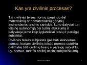 Civilinio procesas ir civilinio proceso dalyviai 2 puslapis