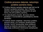 Civilinio procesas ir civilinio proceso dalyviai 11 puslapis