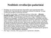 Civilizuotos visuomenės atsiradimas. Civilizacijų panašumai ir skirtumai 7 puslapis