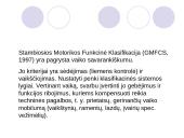 CP spastinė hemiparezė. Motorinės raidos vertinimas ir kineziterapija 17 puslapis