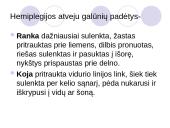 CP spastinė hemiparezė. Motorinės raidos vertinimas ir kineziterapija 9 puslapis