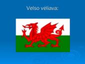 Projektas apie Didžiąją Britaniją 20 puslapis