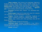 Projektas apie Didžiąją Britaniją 3 puslapis