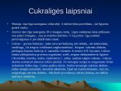 Dietologija 4 puslapis