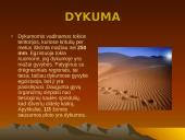 Dykumų augalai 2 puslapis