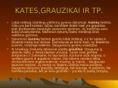 Dykumų augalai 14 puslapis