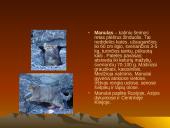 Dykumų augalai 15 puslapis