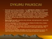 Dykumų augalai 16 puslapis