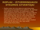 Dykumų augalai 20 puslapis