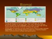 Dykumų augalai 3 puslapis