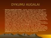 Dykumų augalai 6 puslapis