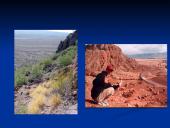 Dykuma: kraštovaizdis, paplitimas, kovos būdai 5 puslapis