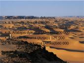 Dykumų kraštovaizdžiai 3 puslapis