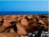 Dykumų kraštovaizdžiai 8 puslapis