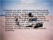 Dykumų kraštovaizdžiai 9 puslapis