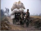 Dykumų kraštovaizdžiai 10 puslapis