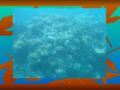 Egiptas bei Egipto istorija 11 puslapis