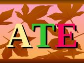 Egiptas bei Egipto istorija 14 puslapis