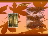 Egiptas bei Egipto istorija 6 puslapis